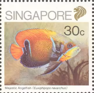 Fish Series