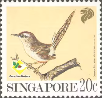 Bird Series - Garden Birds