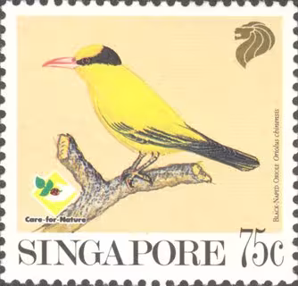 Bird Series - Garden Birds