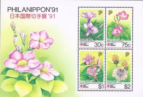 Philanippon - Singapore Flora