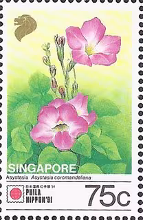 Philanippon - Singapore Flora