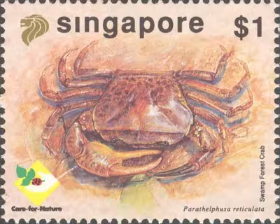 Marine Life Series - Crabs