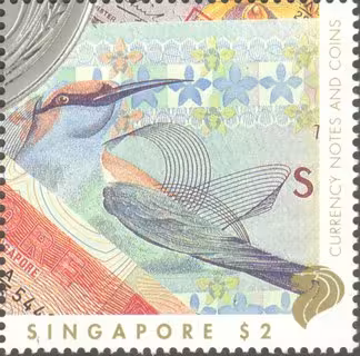Currency Notes and Coins