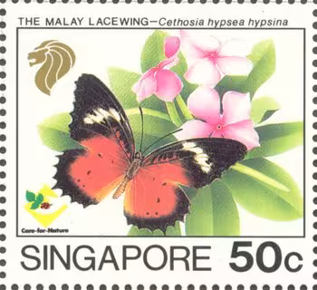 Nature Series - Butterflies