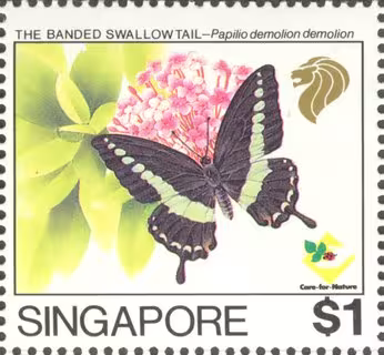 Nature Series - Butterflies