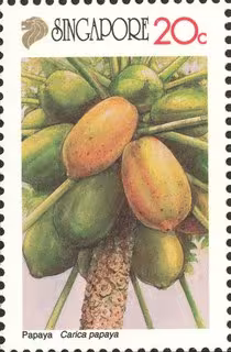 Nature Series - Local Fruits
