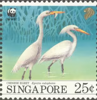 Bird Series - Migratory Birds (Chinese Egrets)