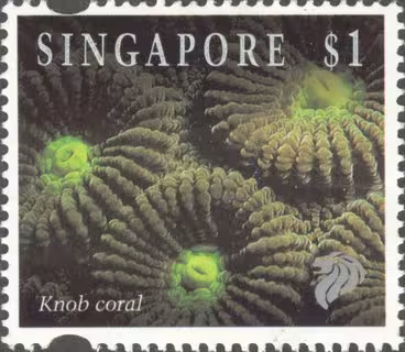 Corals and Reef Life Definitives High Values