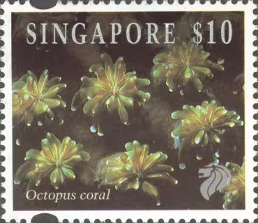 Corals and Reef Life Definitives High Values