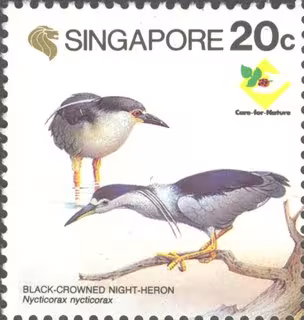Bird Series - Herons