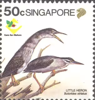 Bird Series - Herons