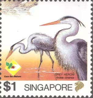 Bird Series - Herons