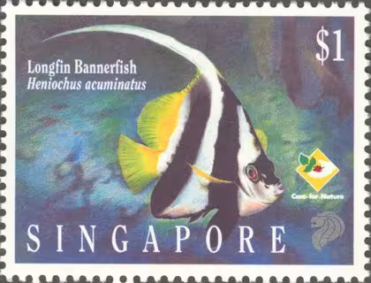 Marine Fish