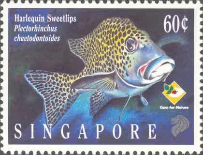 Marine Fish