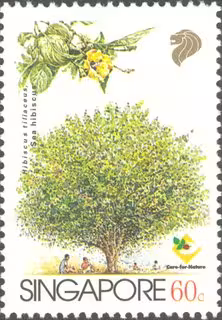Trees