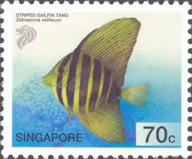 Tropical Marine Fishes
