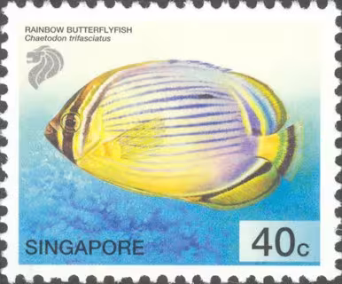 Tropical Marine Fishes