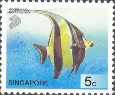 Tropical Marine Fishes