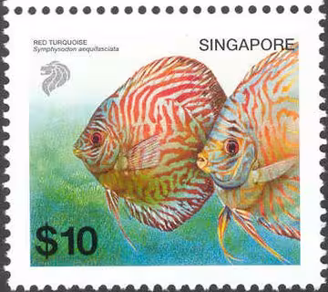 Tropical Freshwater Fishes Definitives - High Values