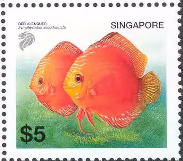 Tropical Freshwater Fishes Definitives - High Values
