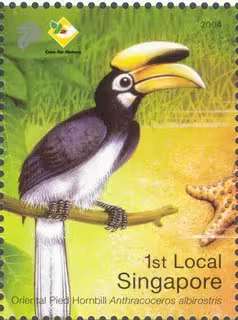 Chek Jawa - Conserve Our Wonder of Nature