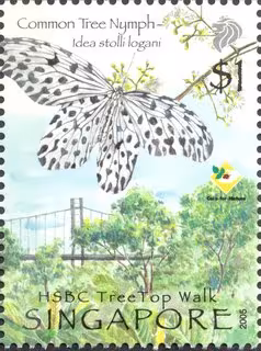TreeTop Walk