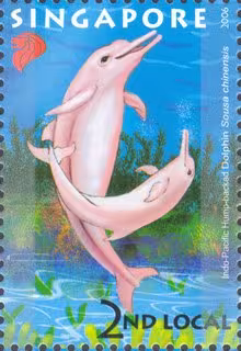 Undersea World