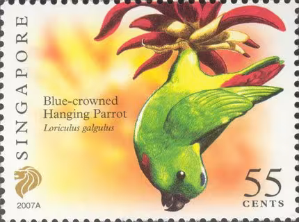 Flora and Fauna Definitives