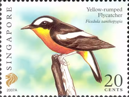Flora and Fauna Definitives