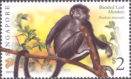 Flora and Fauna Definitives