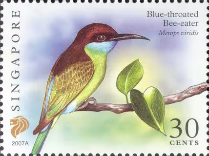 Flora and Fauna Definitives