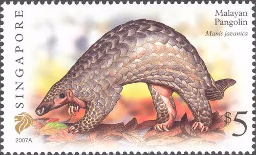 Flora and Fauna Definitives