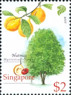 Cash Crops of Early Singapore