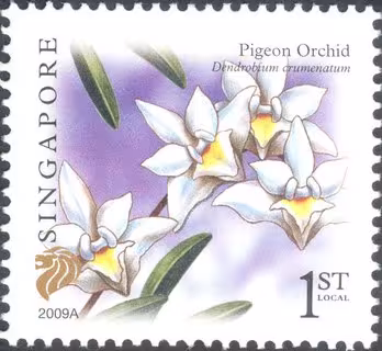 Flora and Fauna 2009 - Definitives