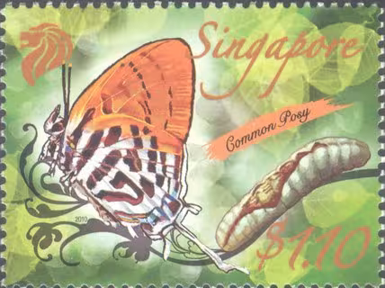 Nature Series - Butterflies
