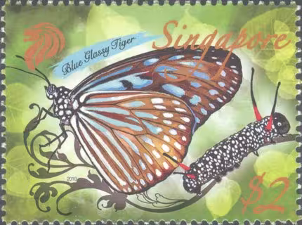 Nature Series - Butterflies