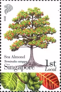 Know 10 Trees