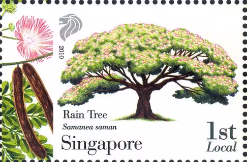 Know 10 Trees