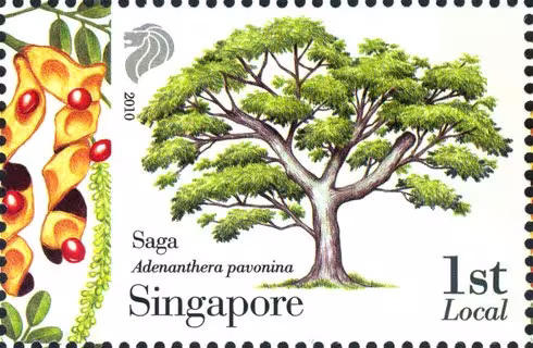 Know 10 Trees