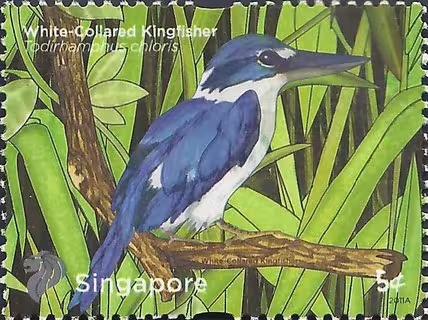 Definitives: A Pond Life (High Values)