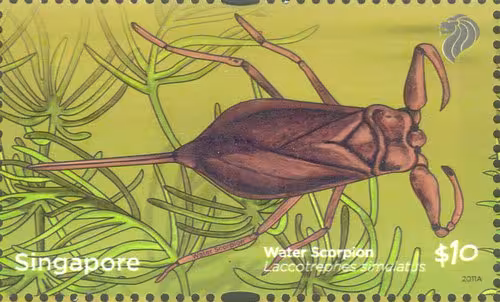 Definitives: A Pond Life (High Values)