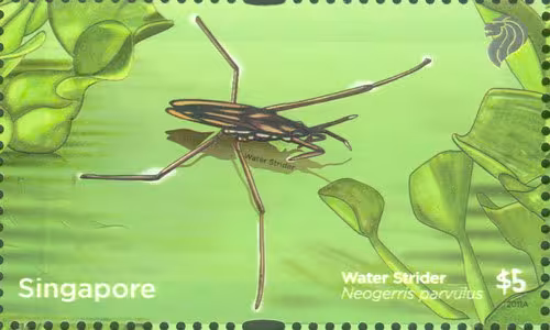 Definitives: A Pond Life (Low Values)
