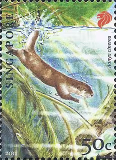 Endangered Animal - Oriental Small-Clawed Otter