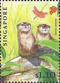 Endangered Animal - Oriental Small-Clawed Otter