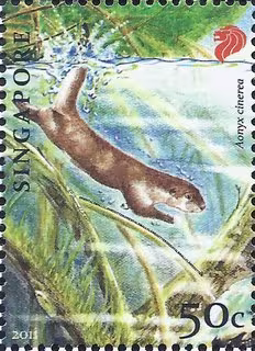 Endangered Animal - Oriental Small-Clawed Otter