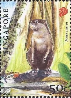 Endangered Animal - Oriental Small-Clawed Otter