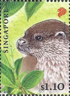 Endangered Animal - Oriental Small-Clawed Otter