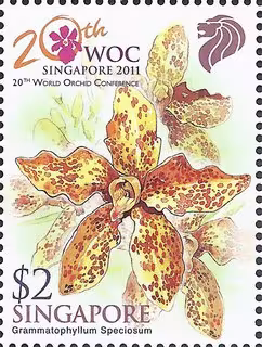 World Orchid Conference 2011