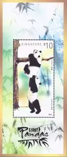Giant Pandas