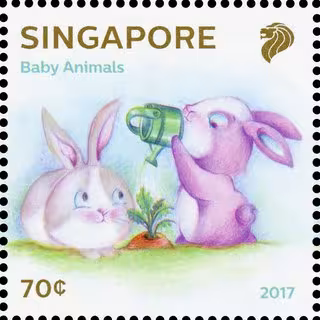 Baby Animals